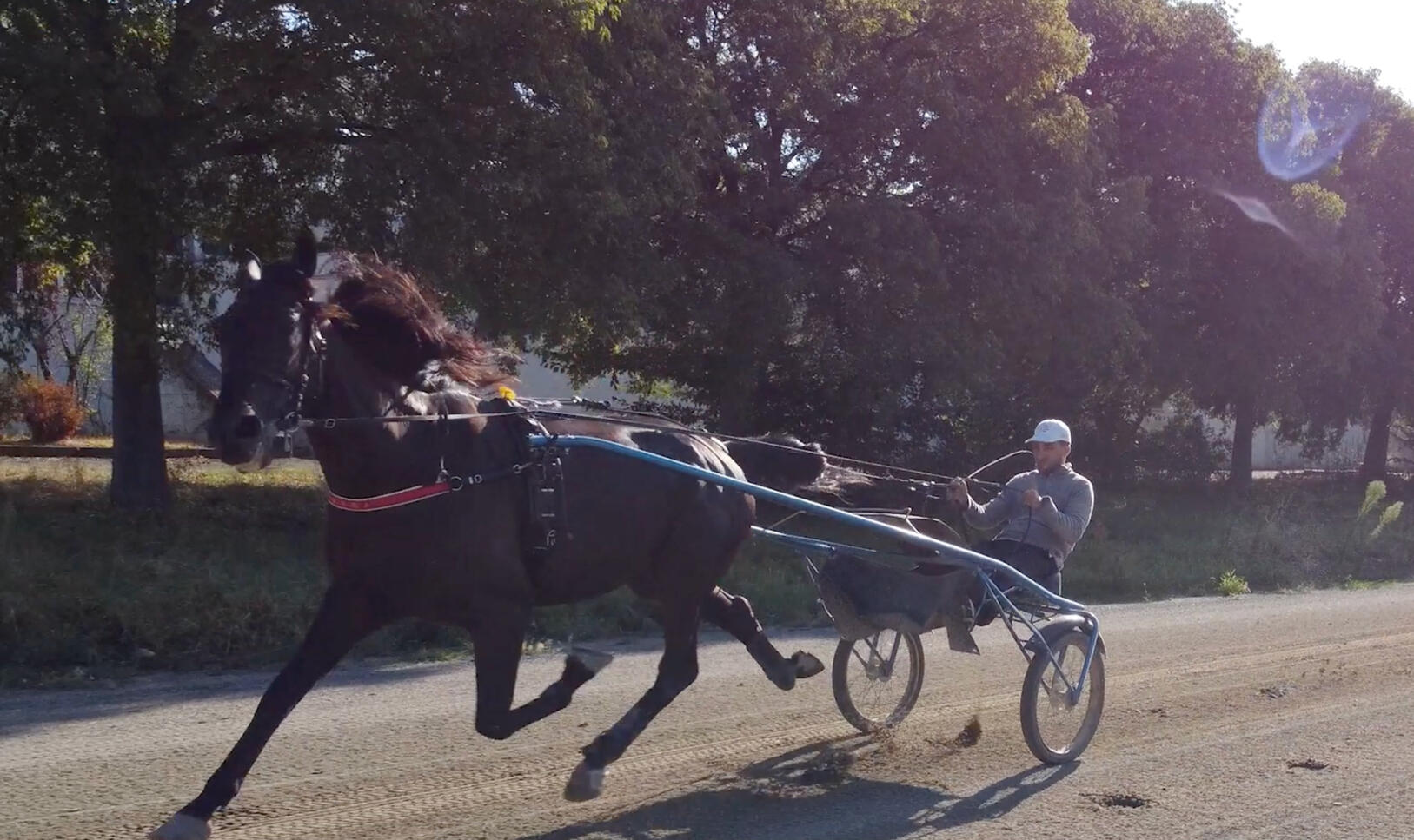 Pista Dritta, Ippodromo Ghirlandina